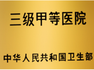 三级甲等医院