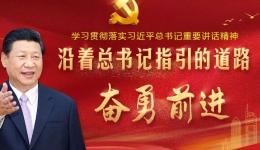 习近平总书记参加广东代表团审议时的重要讲话精神