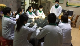 【疫情防控】我院一门诊西药房的“抗疫那些事儿”！