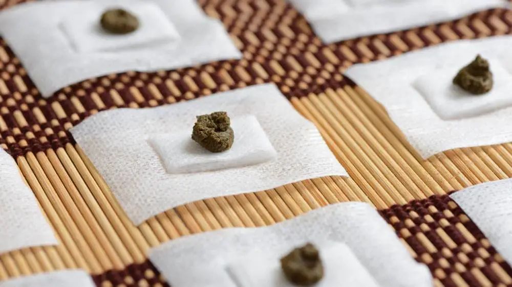 嘿，防病治病吗？来贴“三九天灸”吧