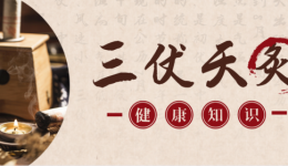 “冬病夏治”，三伏天灸来咯，别错过