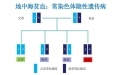 可防难治的地贫，你了解多少？