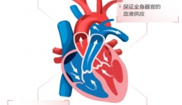 世界心脏日丨守护心脏健康，茂医这份“知心护心”锦囊请收好