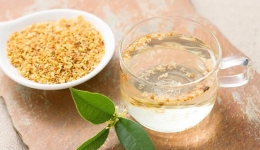 茂医专家说丨秋季调养，凉！燥！湿！齐袭，如何应对？