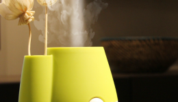 茂医专家说丨警惕！加湿器不当使用可能会导致肺部损伤！