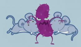 茂医专家说｜鼠疫可防、可控、可治！但需警惕！