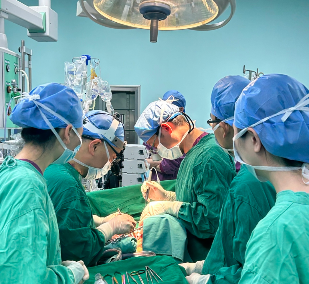 微信图片_20240508091426