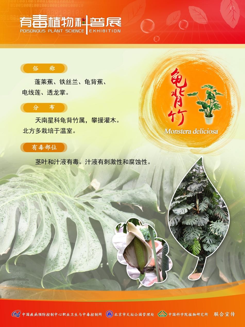 图片4