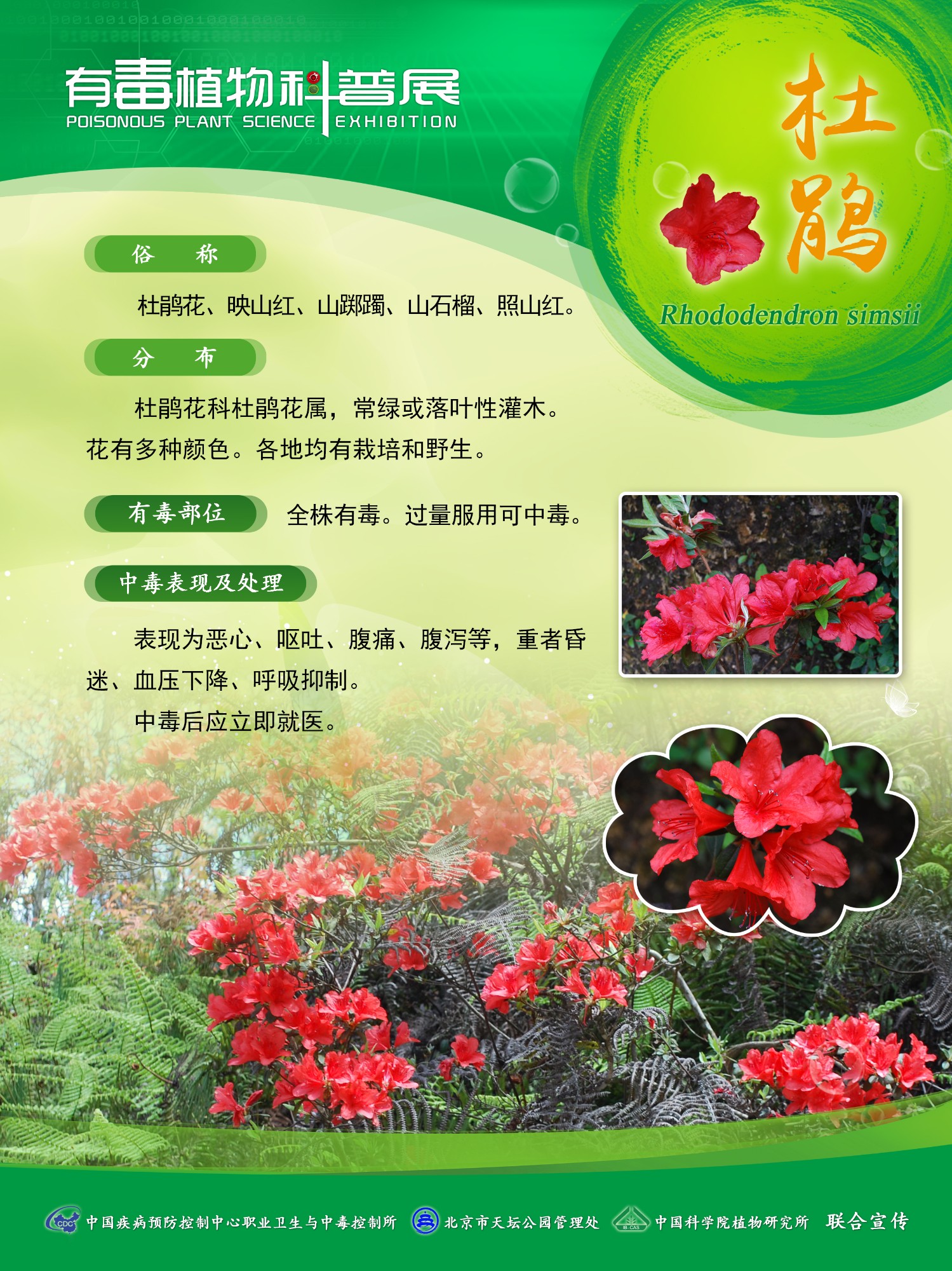 图片6