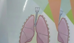 厉害了！ 茂医健康科普作品在省级科普比赛中荣获佳绩