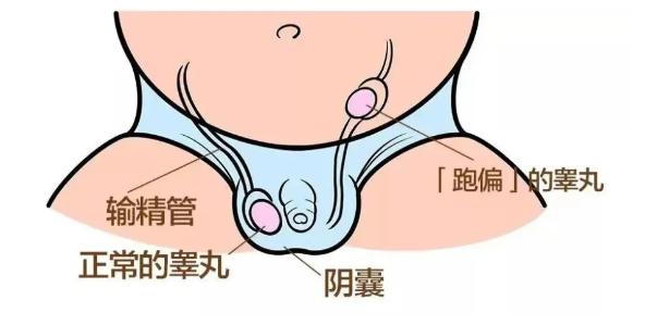 微信图片_20241028084318