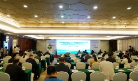 探讨糖尿病防治，茂医协办学术会议绘门（急）诊管理蓝图