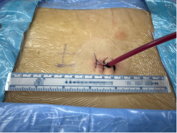 微信图片_20241202083010