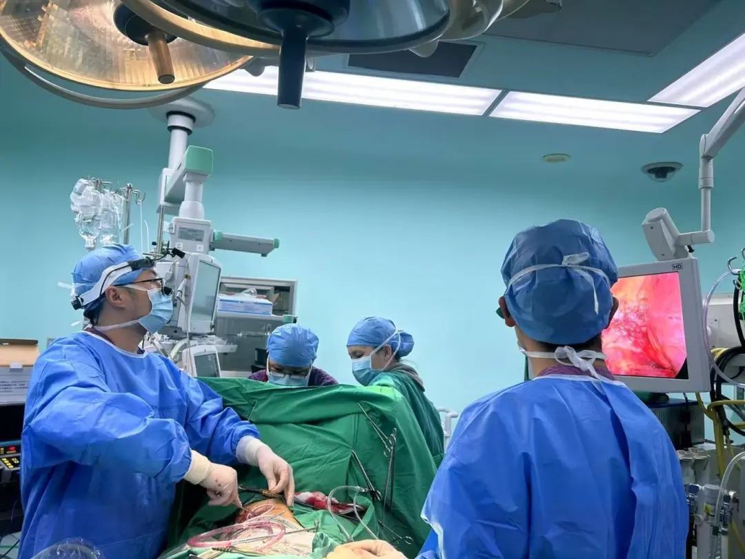 微信图片_20250113083306