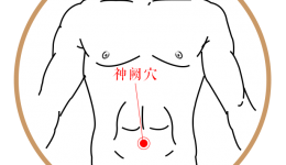 养生学堂丨春夏交替，为何睡眠与脾胃易“闹脾气”？