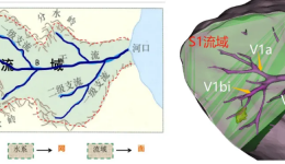 省医在茂名名医零距离丨胸外科手术直播，创新应用流域法治疗肺隔离症