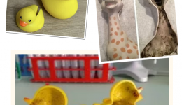 常用的这些婴儿用品内部这么脏？