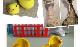 常用的这些婴儿用品内部这么脏？