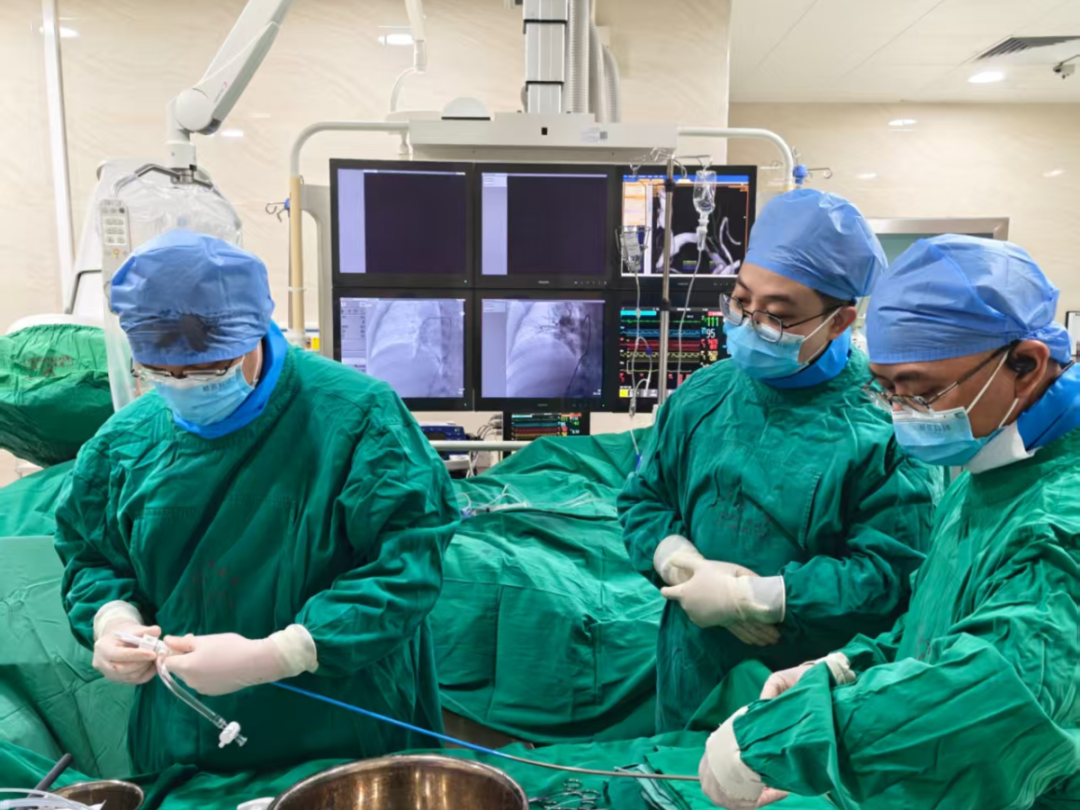 微信图片_2025_11_12_091017_952