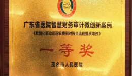 我院获“2026年广东省智慧财务审计分会微创新案例大赛”一等奖